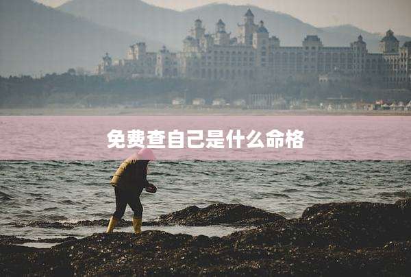 免费查自己是什么命格