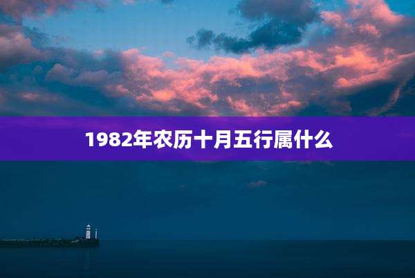 1982年农历十月五行属什么