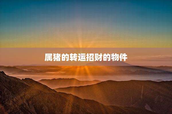 属猪的转运招财的物件