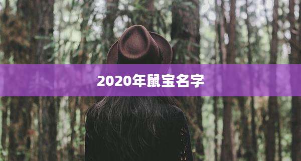 2020年鼠宝名字