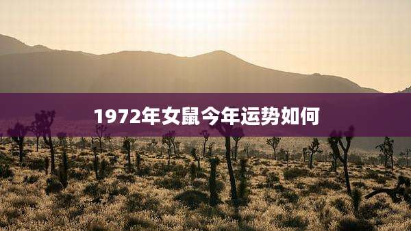 1972年女鼠今年运势如何