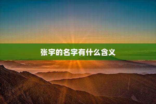张宇的名字有什么含义
