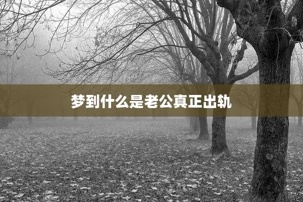 梦到什么是老公真正出轨
