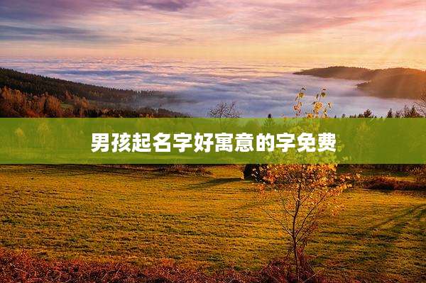 男孩起名字好寓意的字免费