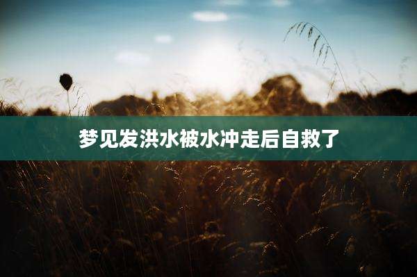 梦见发洪水被水冲走后自救了