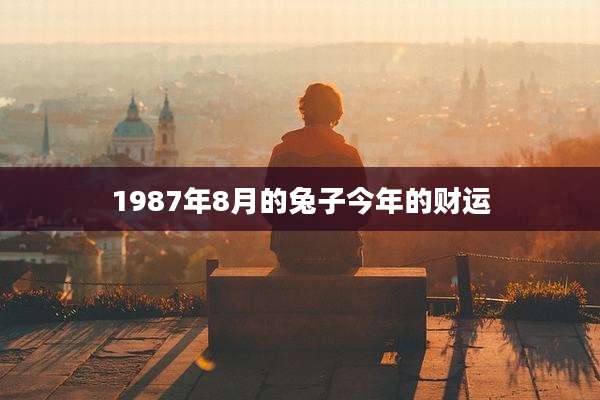 1987年8月的兔子今年的财运