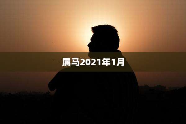 属马2021年1月