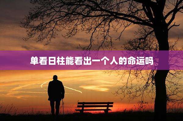 单看日柱能看出一个人的命运吗