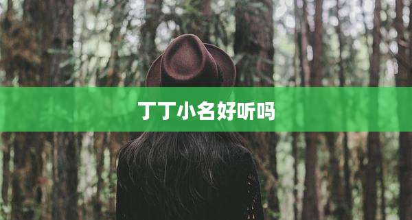 丁丁小名好听吗