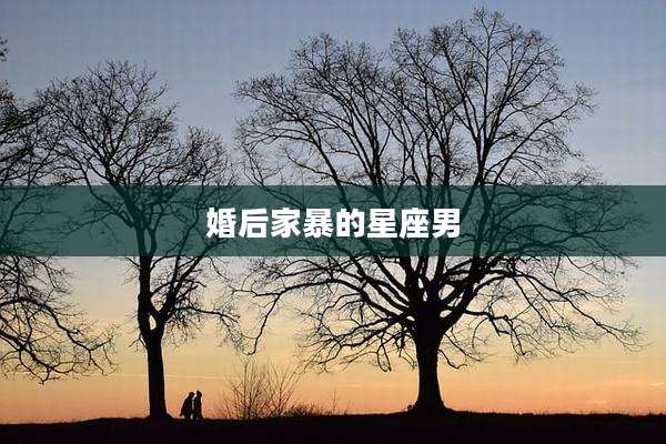 婚后家暴的星座男