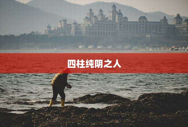 四柱纯阴之人