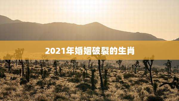 2021年婚姻破裂的生肖