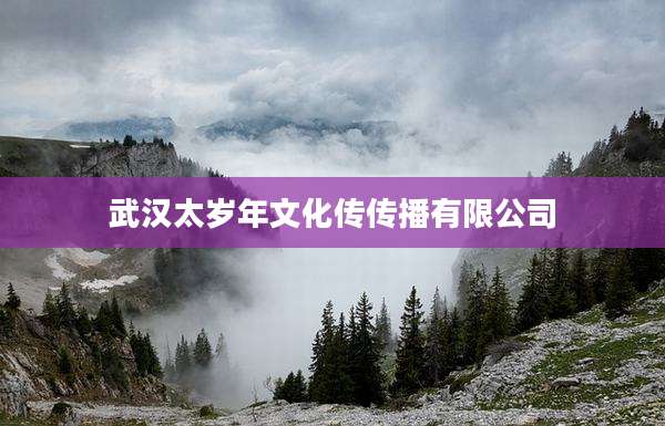 武汉太岁年文化传传播有限公司