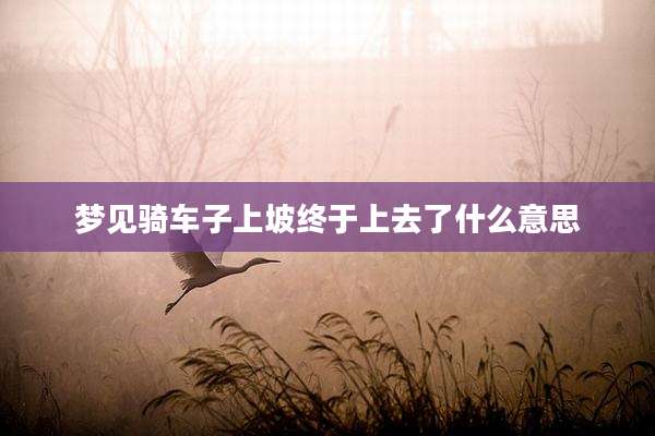 梦见骑车子上坡终于上去了什么意思