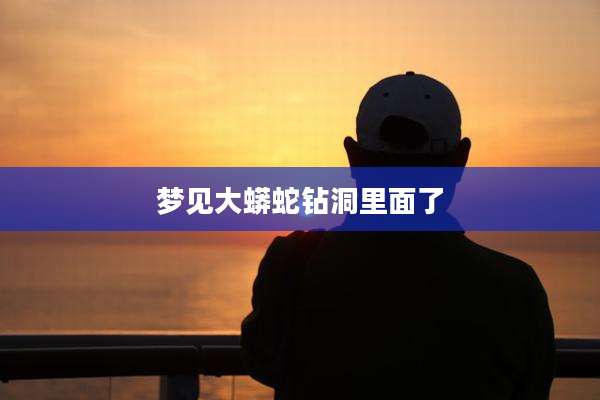 梦见大蟒蛇钻洞里面了