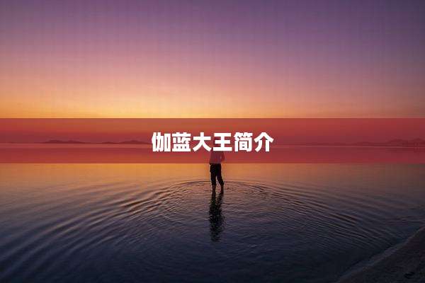 伽蓝大王简介
