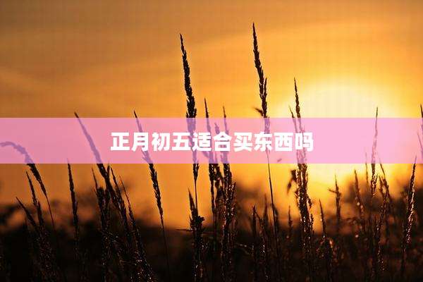 正月初五适合买东西吗