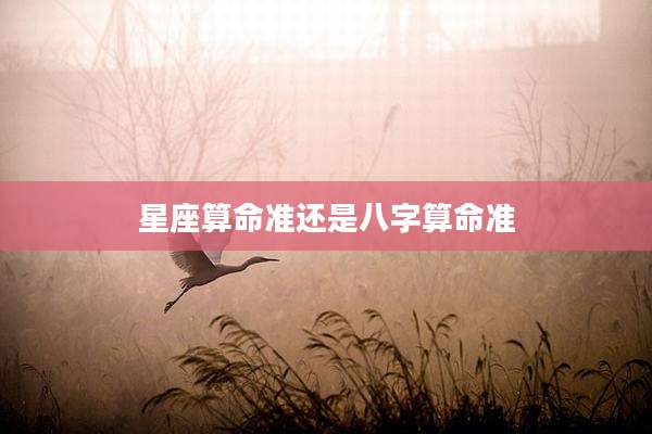 星座算命准还是八字算命准