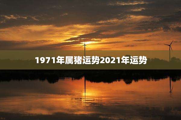 1971年属猪运势2021年运势