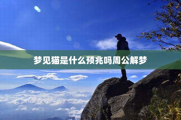 梦见猫是什么预兆吗周公解梦