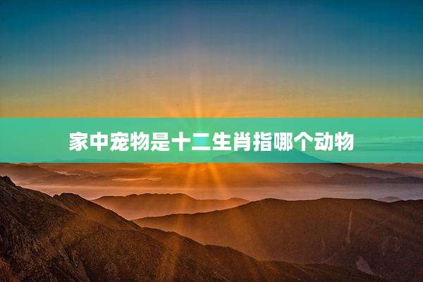 家中宠物是十二生肖指哪个动物