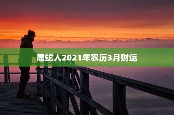 属蛇人2021年农历3月财运