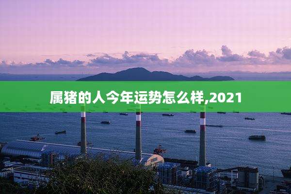 属猪的人今年运势怎么样,2021