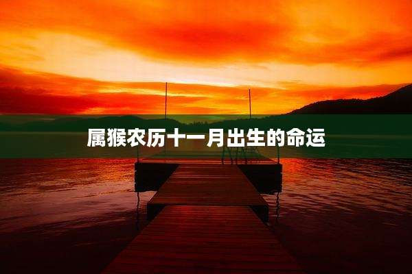 属猴农历十一月出生的命运