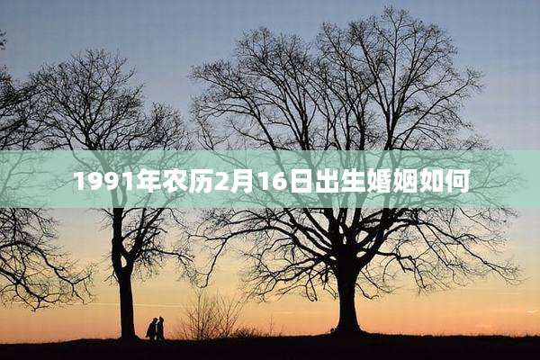 1991年农历2月16日出生婚姻如何