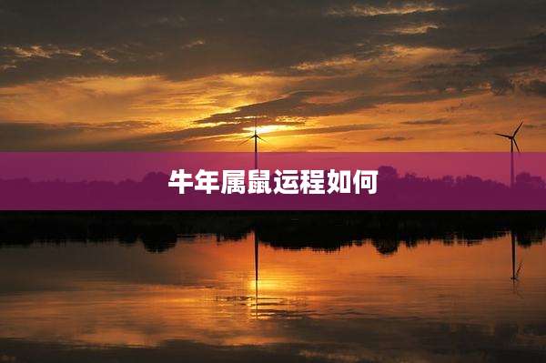 牛年属鼠运程如何