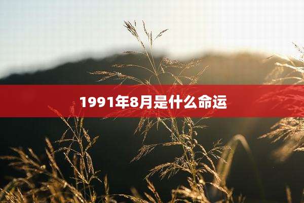 1991年8月是什么命运