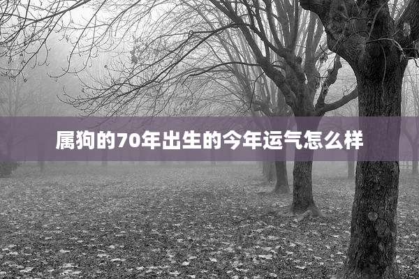 属狗的70年出生的今年运气怎么样
