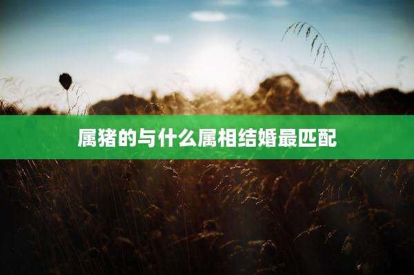 属猪的与什么属相结婚最匹配