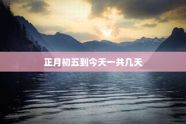 正月初五到今天一共几天