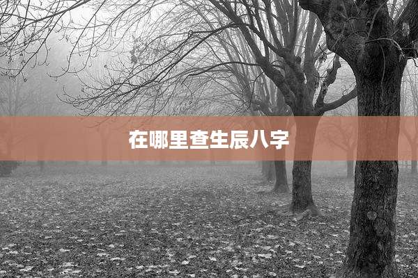 在哪里查生辰八字