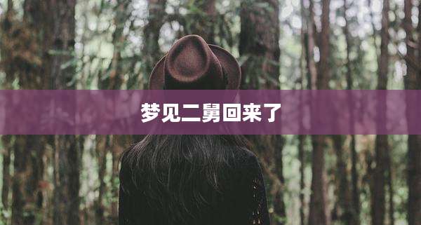 梦见二舅回来了