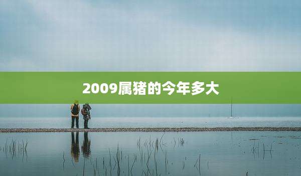 2009属猪的今年多大