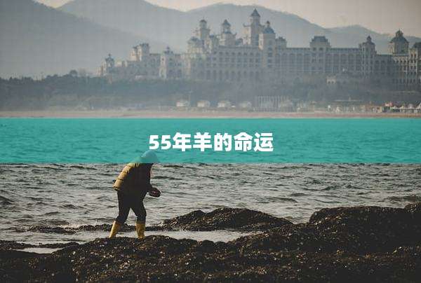 55年羊的命运