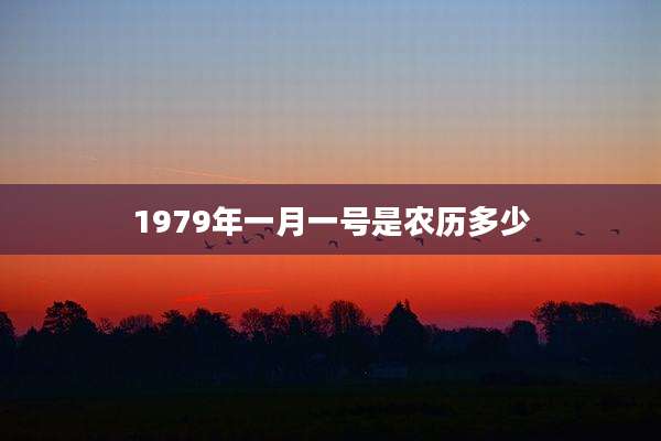 1979年一月一号是农历多少