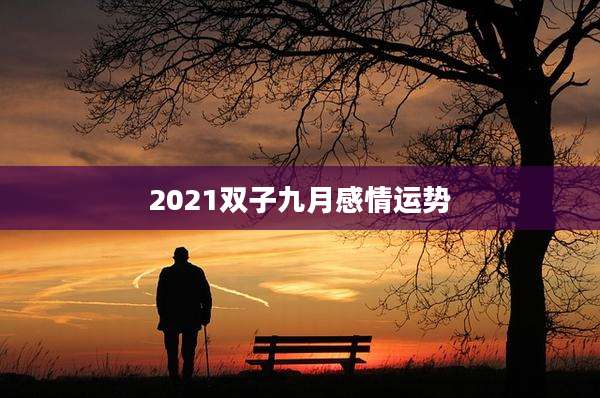 2021双子九月感情运势