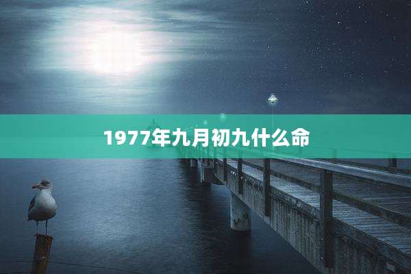 1977年九月初九什么命