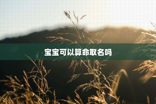 宝宝可以算命取名吗