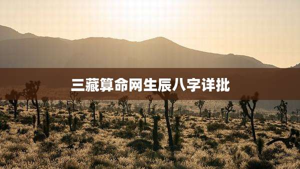 三藏算命网生辰八字详批