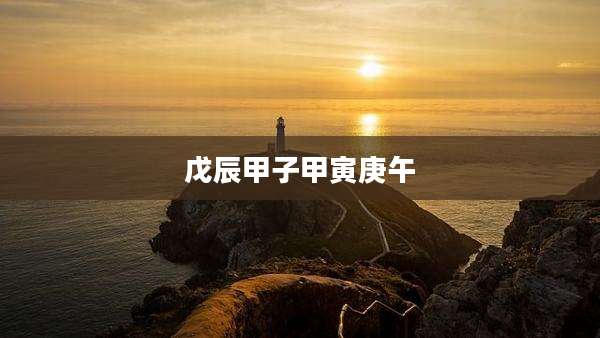 戊辰甲子甲寅庚午