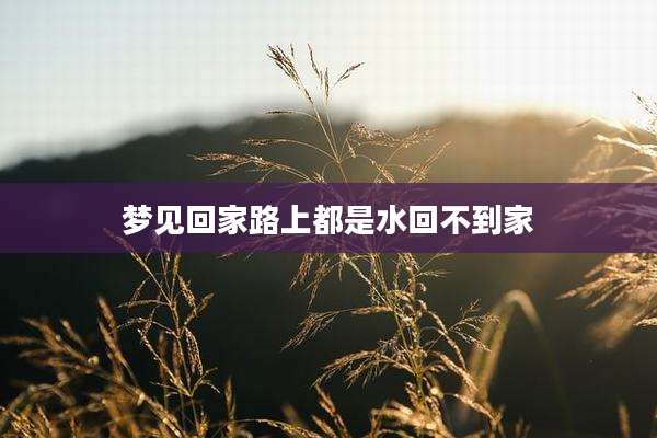 梦见回家路上都是水回不到家