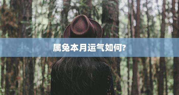 属兔本月运气如何?