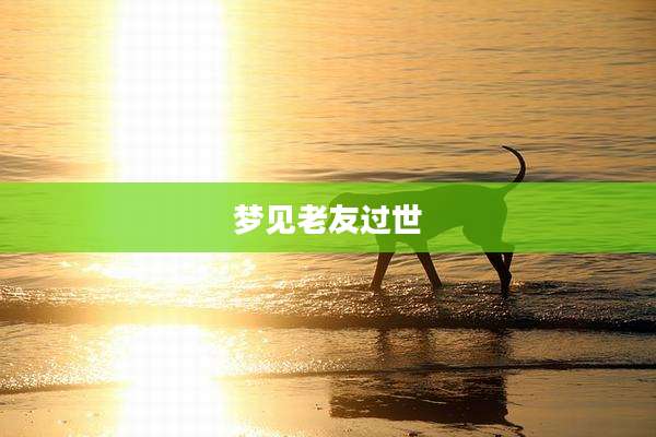 梦见老友过世