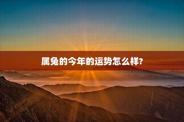 属兔的今年的运势怎么样?