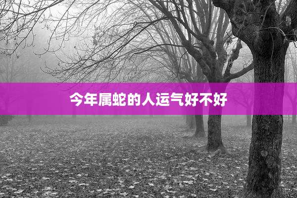 今年属蛇的人运气好不好