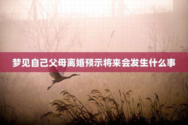 梦见自己父母离婚预示将来会发生什么事